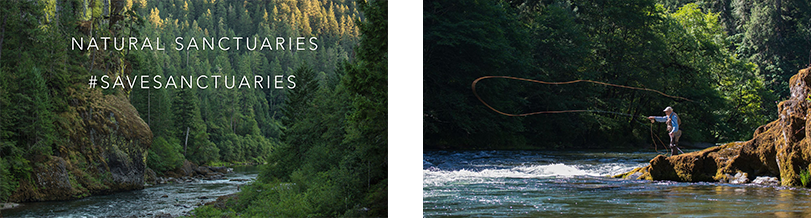 SteelheadBlogGraphic2.jpg